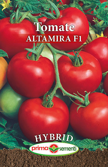 Altamira F1 (60 seminte) de rosii hibrid cu crestere nedeterminata de tip Cluster Prima Sementi