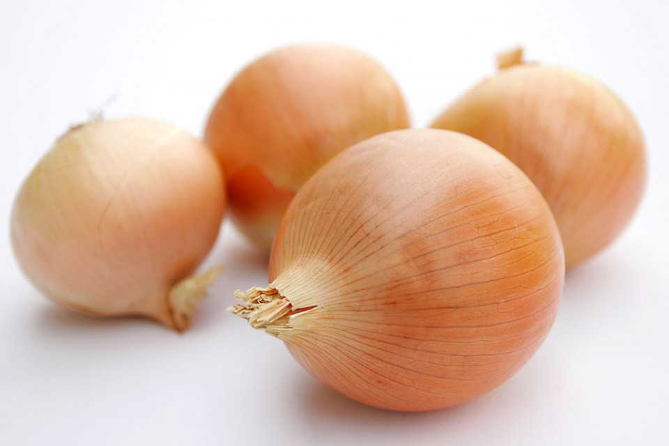 Ceapa alba Rijnsburger (2 grame), gust fin, soi semitimpuriu, Agrosem