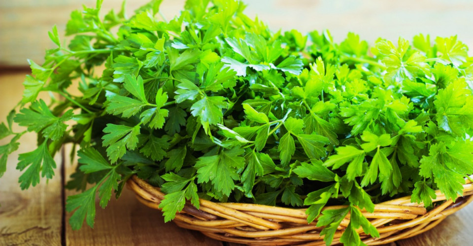 Patrunjel (30 grame), seminte de patrunjel cu frunza neteda, aromat, Agrosem