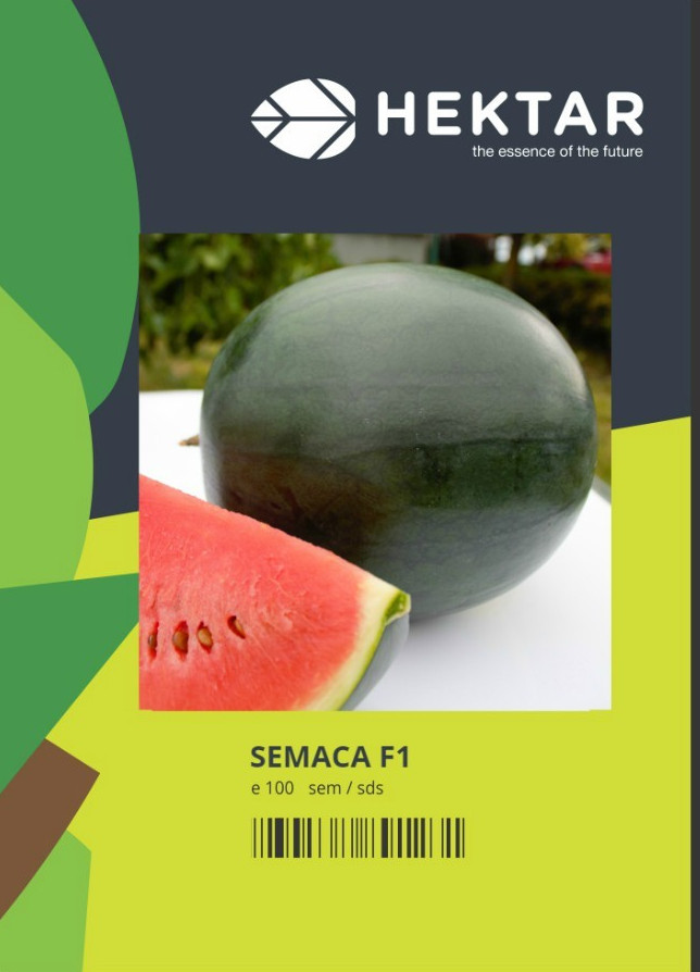 Seminte pepene verde Semaca F1 ( 500 seminte), tip Sugar Baby, Hektar
