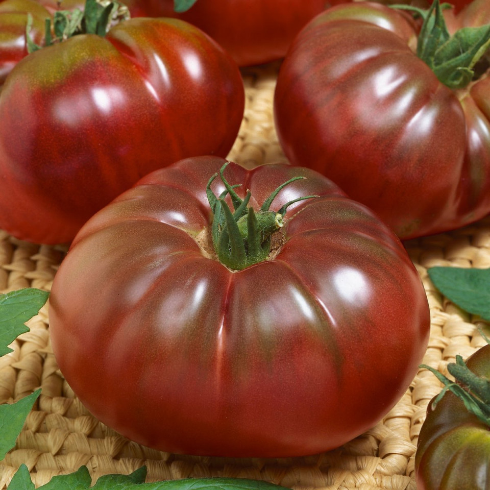 Tomate Russian Black (0.2 grame) seminte tomate negre cu pulpa groasa, gust placut, Agrosem
