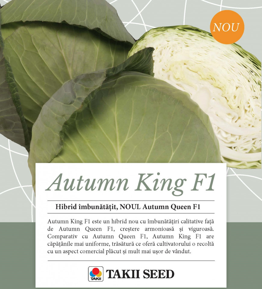 Autumn King F1 (TCA 542) (2500 seminte) de varza cu fructe plate si frunze subtiri fiind cel mai utilizat hibrid de catre fermieri, Takii Seeds