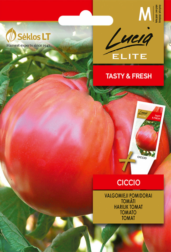 Ciccio (30 seminte) roșii uriase roze, soi stravechi, semi-tardiv, fructe 1 kg, nedeterminat si foarte fertil, Seklos