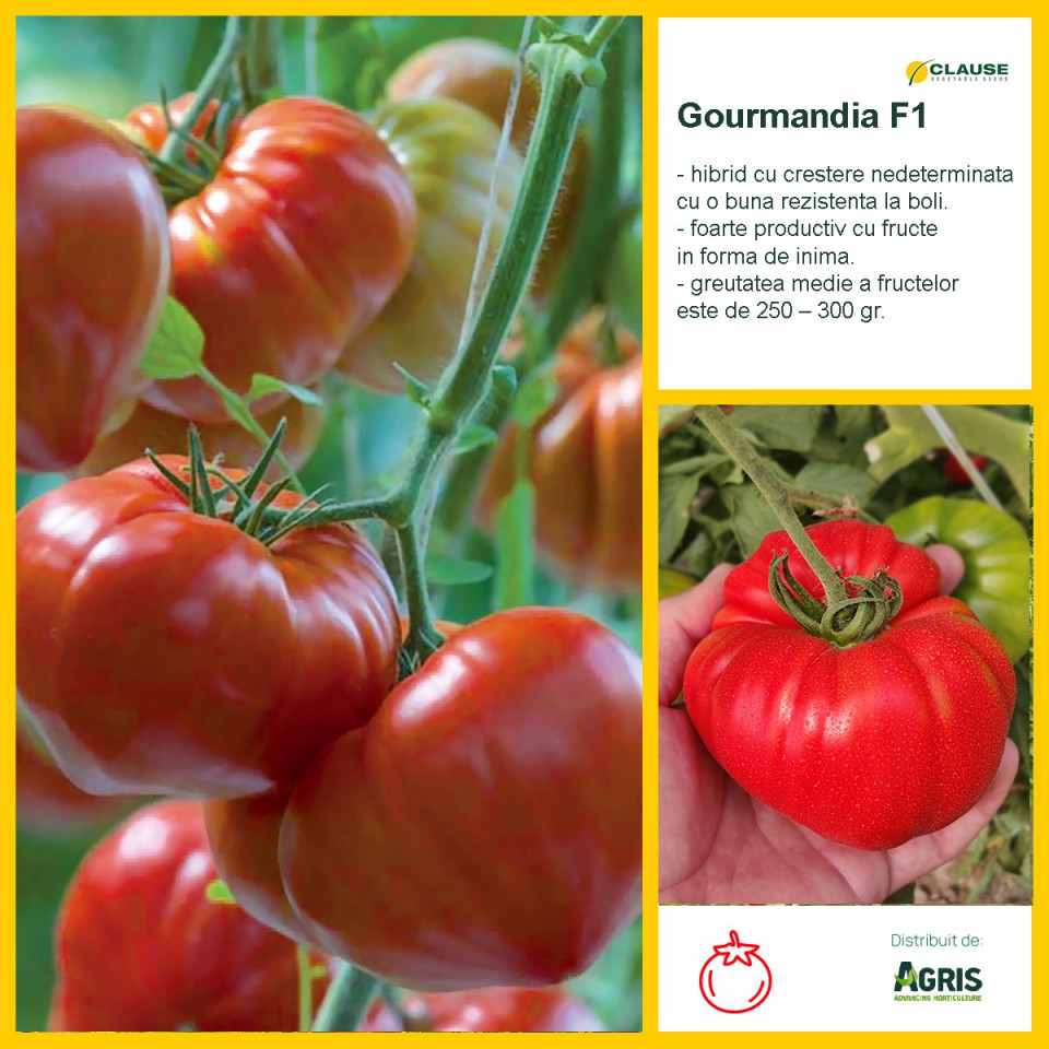 Gourmandia F1 (250 seminte) de rosii in forma de inima, carnoase cu gust deosebit, Clause