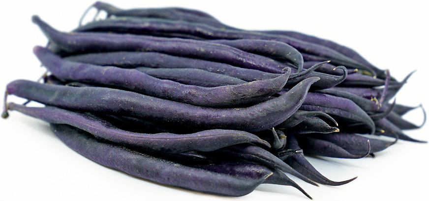 Purple Queen (25 kg) Seminte de Fasole pitica mov Purple Queen Soi Productiv Timpuriu, Agrosem