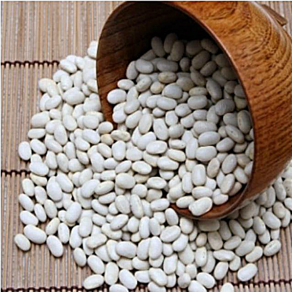 Seminte fasole alba pentru boabe Great Northern (100 g), Agrosem