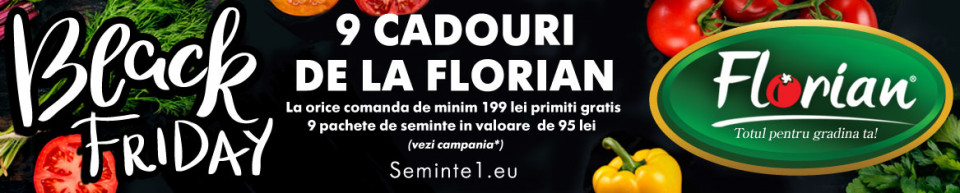 9 produse cadou de la Florian