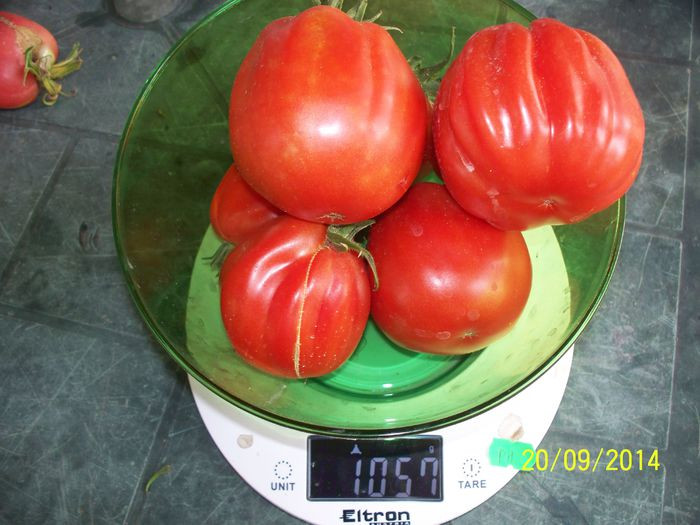 Rosii Pearson sel d'Albenga (250 seminte), tomate cu fructe mari in forma de para tip Albenga, Prima Sementi
