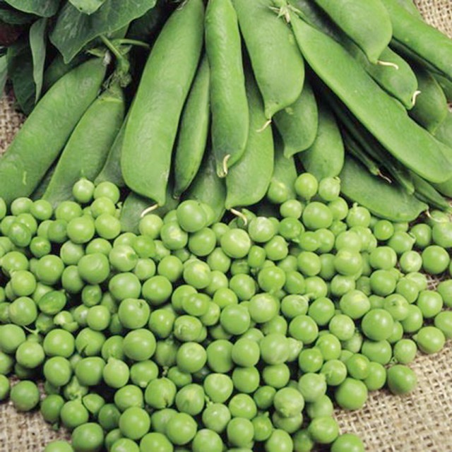 Seminte mazare Kelvedon Wonder (250 gr), semitimpurie, Pop Vriend