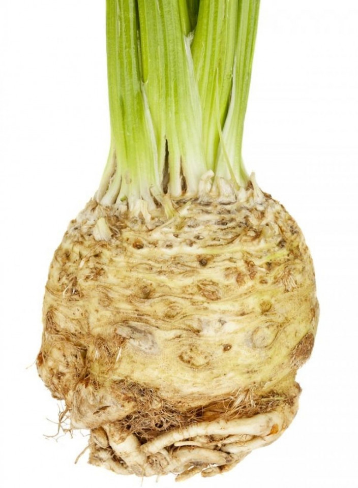 Telina Anita (1 gr) seminte de telina soi tardiv foarte productiv, Agrosem