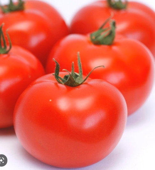 Abellus F1 (10 seminte) tomate cu crestere nedeterminata de tip generativ, Rijk Zwaan