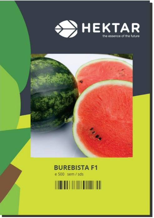 Burebista F1 (100 seminte) de pepene verde tip Crimson Sweet, Hektar