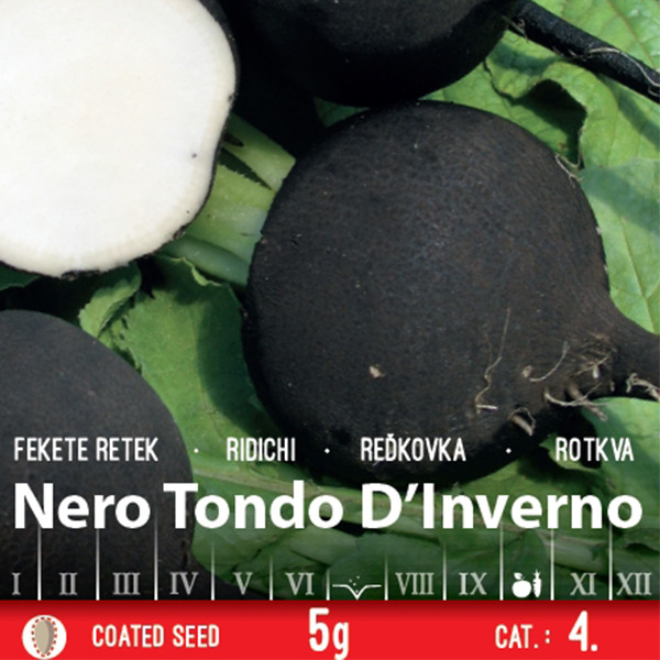 Ridichi Nero Tondo D'Inverno (450 seminte) rezistenta buna la pastrare, ZKI