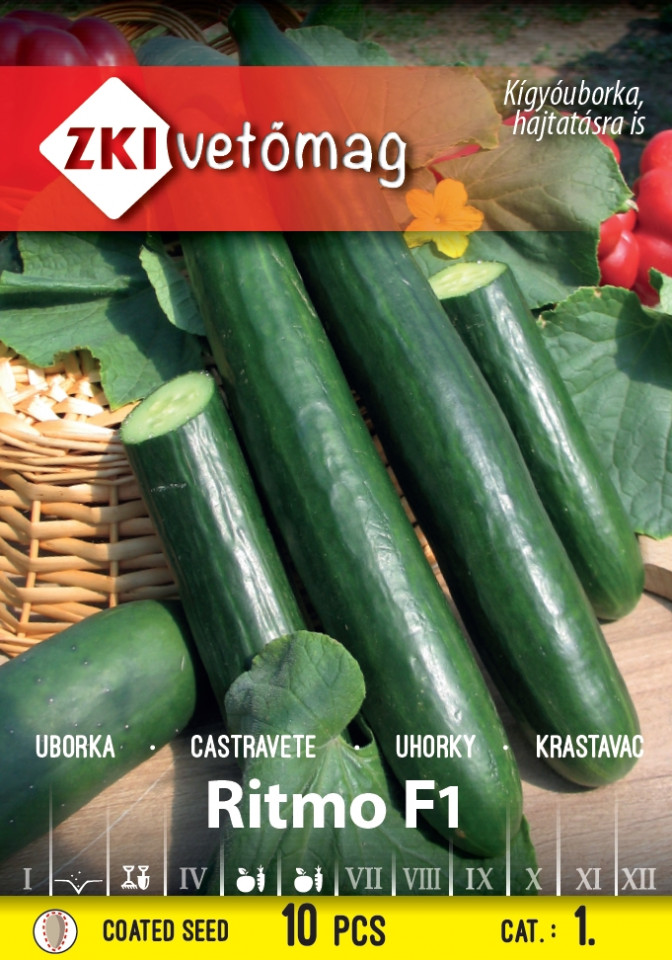 Ritmo F1 (10 seminte) de castraveti lungi timpurii, randament ridicat, ZKI