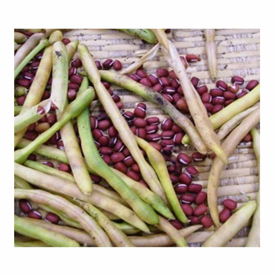 Teodora(40 g), fasole mung, soi semitimpuriu, pastai de culoare verde, Agrosem