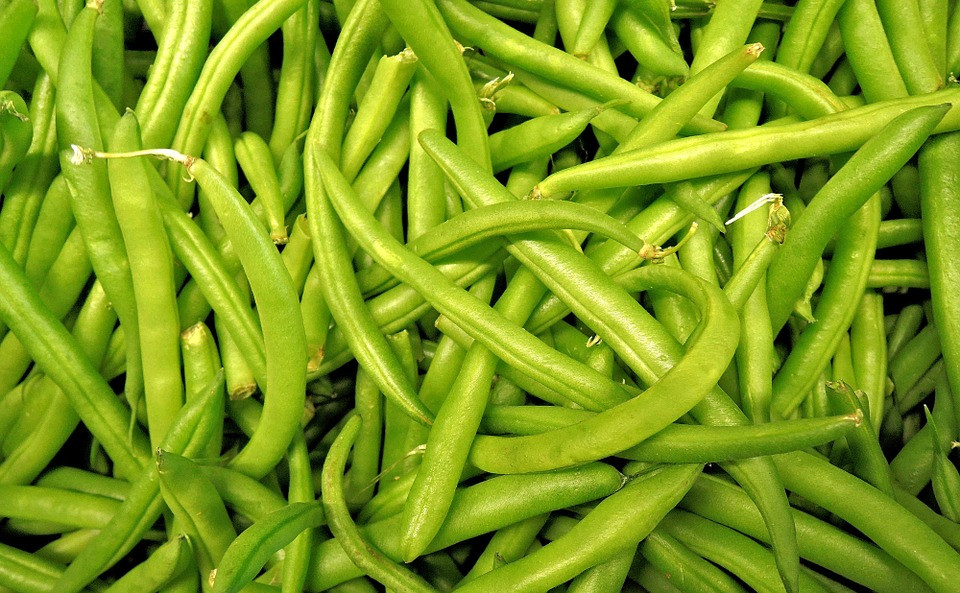 Provider (50 grame) seminte de fasole pitica verde, carnoasa si foarte frageda, Agrosem