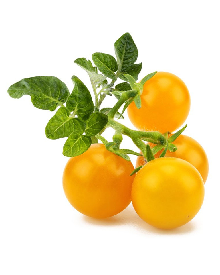 Rosii Yellow Cherry (100 seminte) rosii cherry galbene extrem de productive, Agrosem