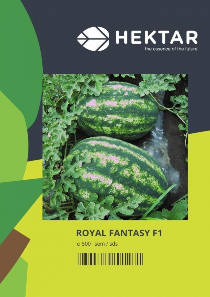 Royal Fantasy F1 (500 seminte) de pepene verde tip Crimson Sweet, Hektar
