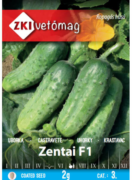 Zenta F1 (60 seminte) de castraveti cornishon cu crestere semiintensiva, predominant femele, ZKI