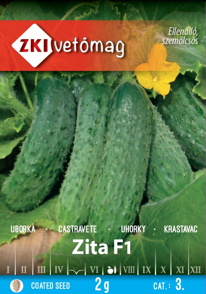 Zita F1 (60 seminte) de castraveti cornishon soi destinat cultivarii in camp, ZKI