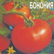 BONONIA Seminte de Rosii Bulgaresti / Soi rosii consum proaspat / Bulgaria
