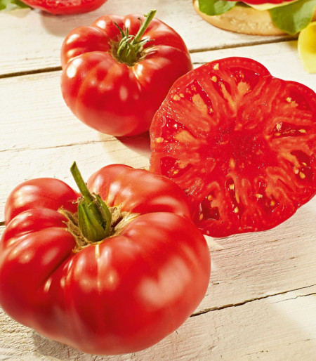 Buffalosteak F1 (10 seminte) tomate nedeterminate timpurii de tip Beef, 350 - 700 gr, Clause
