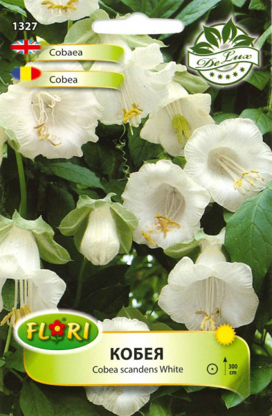 Cobea ALBA - Seminte Flori Cobea ALBA de la Florian