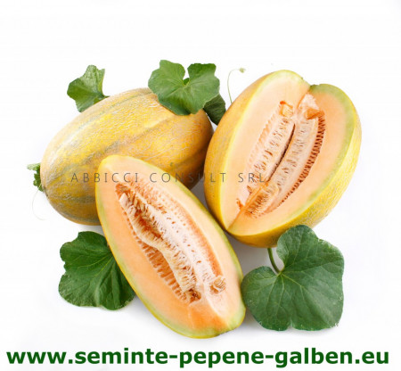 Kehlibar F1 (100 gr) seminte de pepene galben, bulgaresti profesionale, Agrotop Bulgaria