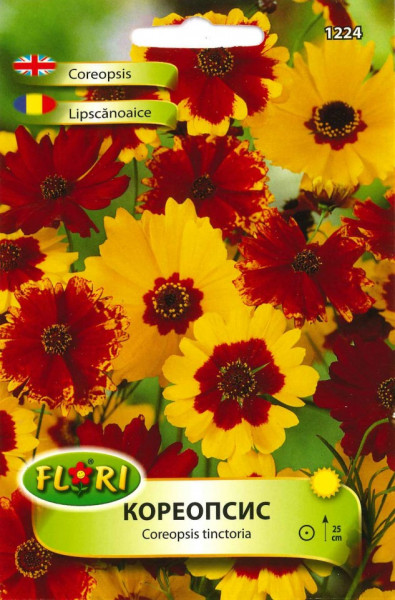 Lipscanoaice - Seminte Flori Lipscanoaice Planta Anuala de la Florian