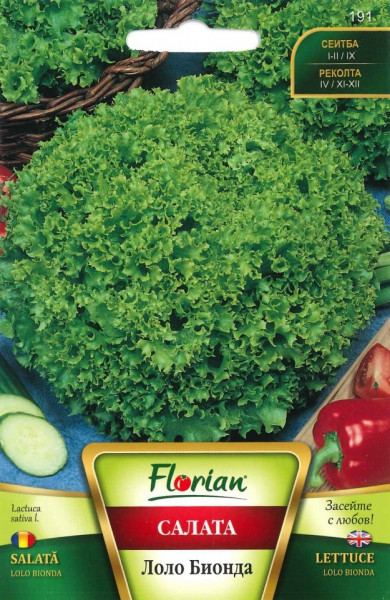 Lollo Bionda - 50 gr - Seminte Salata Lollo Bionda Soi Semitimpuriu Productivitate Mare de la Florian