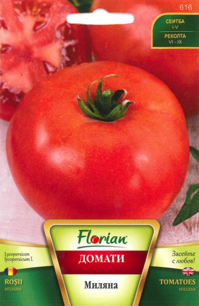 Miliana - 5 gr - Seminte de Tomate de camp Soi determinat de la Florian Bulgaria