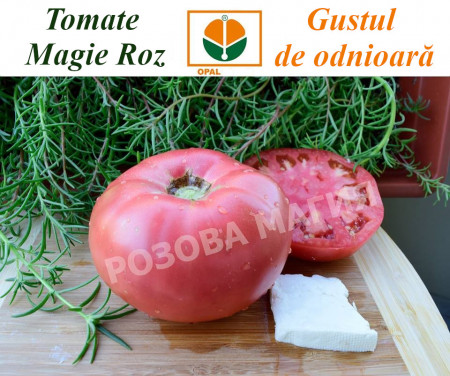 Rozova Maghia (Magie Roz) seminte toamte Roz (0.2 gr) Soi Gigant, Opal Bulgaria