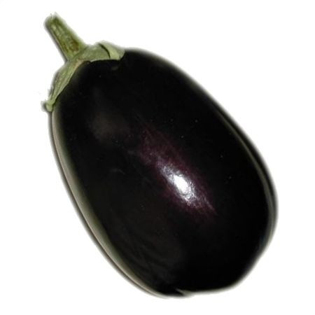 Tudela F1 (1000 seminte) de vinete ce leaga bine la temperaturi joase tip Black Beauty, Hazera