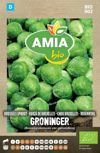 Varza de Bruxelles Groninger BIO (600 seminte) de varza ECO, certificate ecologic, AMIA