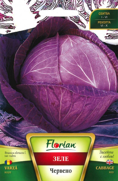 Varza ROSIE - 3 gr - Seminte de Varza Rosie Soi semitimpuriu Florian Bulgaria