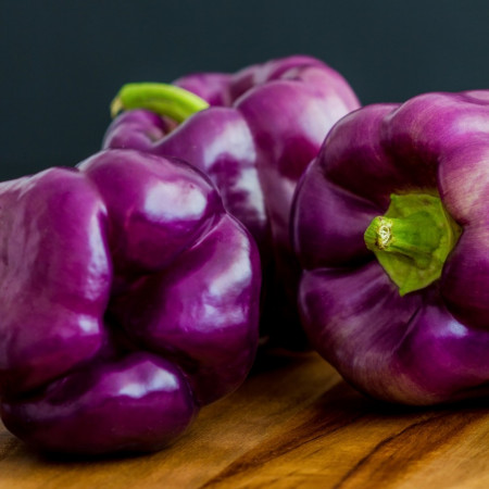 Ardei gras Oda (0.4 gr) Seminte de Ardei Gras violet Soi timpuriu, Agrosem