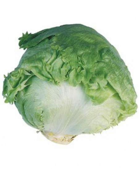Aviram (1000 seminte) de salata tip Eisberg 300-700 gr recomandata pentru vara, Hazera