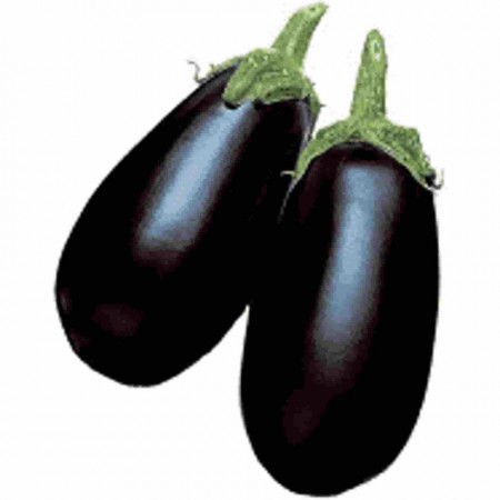 Black Dragon F1 (1000 seminte), vinete extratimpurii, Takii Seed