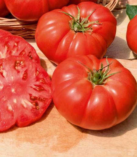 Buffalosteak F1 (10 seminte) tomate nedeterminate timpurii de tip Beef, 350 - 700 gr, Clause