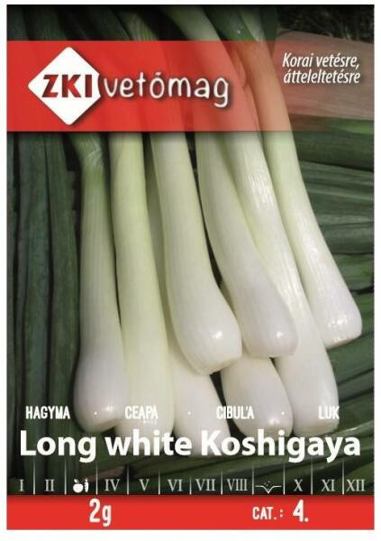 Ceapa Long White Koshigaya (800 seminte) de ceapa soi caracterizat prin uniformitate deosebita, ZKI