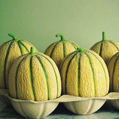 Centro F1 (1000 seminte) pepene galben tip Cantalup, De Ruiter Seeds