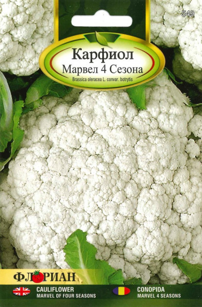 Conopida MARVEL 4 - 1.5 gr - Seminte de conopida Florian Bulgaria Soi semitimpuriu