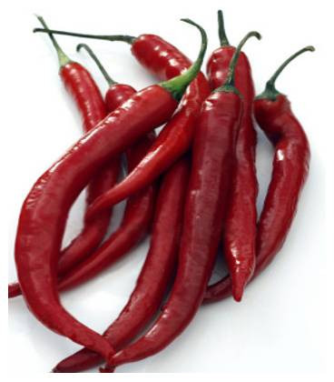 De Cayenne (50 seminte) ardei iute, iuteala medie, gust foarte aromat, Agrosel
