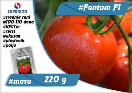 Fantom F1 (50 seminte) de tomate nedeterminate semitimpurii, Superior Serbia