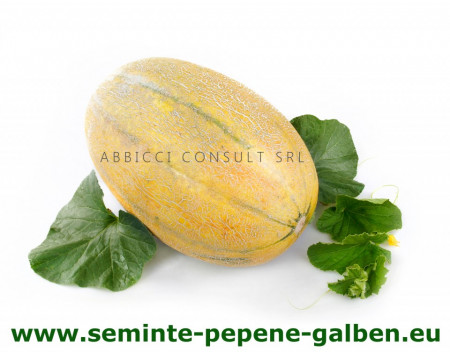 Kehlibar F1 (100 gr) seminte de pepene galben, bulgaresti profesionale, Agrotop Bulgaria