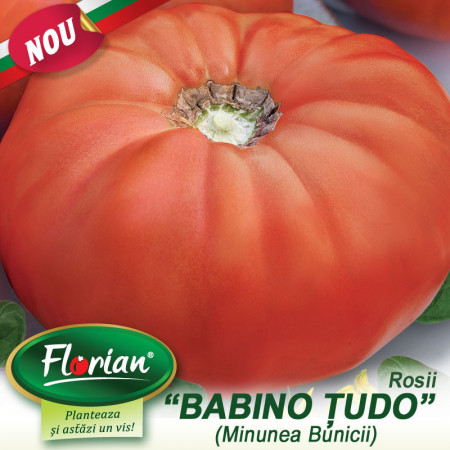 Minunea Bunicii (Babino Chudo 90 seminte) de rosii tip gigant rosu bulgaresc 1.5 kg, gust de odinioara, Florian