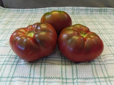 Negre de Crimeea (Black Krim) – 0.2 gr - Seminte Tomate Negre cu Crestere Nedeterminata Black Krim Negre de Crimeea Extratimpurii de la Opal