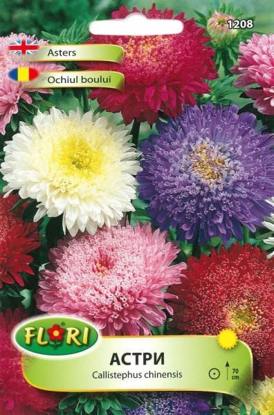 Ochiul Boului Printesa Mix - Seminte Flori Ochiul Boului de la Florian