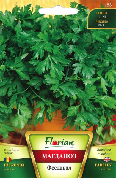Patrunjel Festival - 100 gr - Seminte Patrunjel Frunze Mari Aroma Puternica