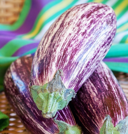 Vinete tsaksoniki (1 gr) seminte de vinete de culoare violet-palid cu dungi albe, Opal